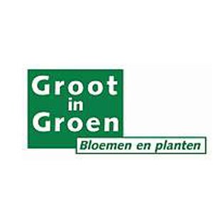 Groot in Groen logo