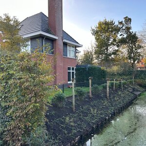 Jamo Tuinbedrijf image 4