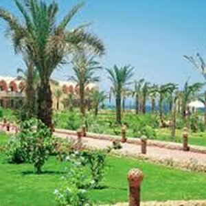 Vakantiestunt B.V. image 1