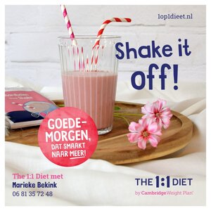 Het 1 op 1 Dieet met Marieke image 1