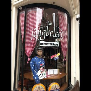 Cafe Jong belegen Alkmaar image 3