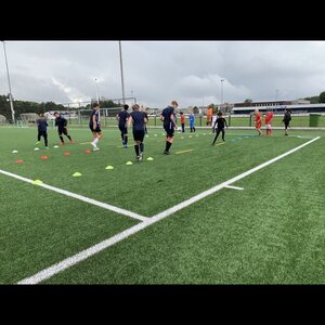 Stormvogels ijvv image 3