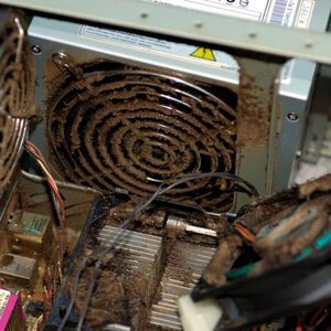 Green Mill pc image 1