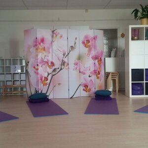 Dru Yoga Heerhugowaard image 2