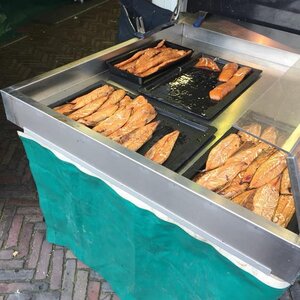 Visspecialist de Dolfijn image 2