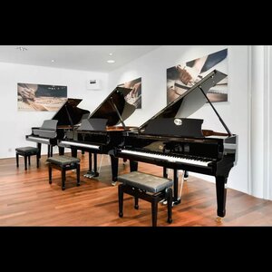 Piano's Maene image 2