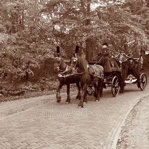 Uitvaartverzorging Uitendaal image 3