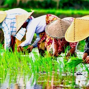 Van Verre Reizen B.V. image 2