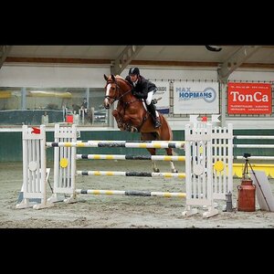 Manege Beukers image 4