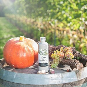 Wijndomein De Koen image 2