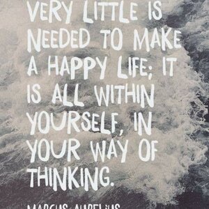 De Lantaarn Coaching image 1