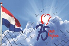 Bibliotheek Velsen viert 75 jaar vrijheid!