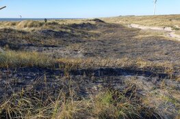 Duinbrand in Velsen-Noord snel onder controle