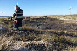 Duinbrand in Velsen-Noord snel onder controle