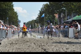 Kortebaandraverijen.nl biedt online paardenkoers aan in plaats van kortebaan IJmuiden