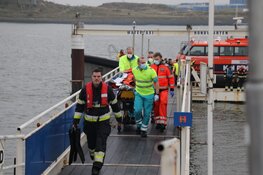 Hond eigenaar springt te water om hond te redden