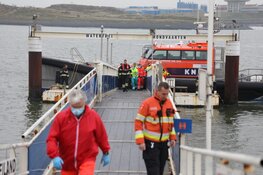 Hond eigenaar springt te water om hond te redden