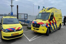 Hond eigenaar springt te water om hond te redden