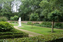 Bolacacia&#39;s voor buitenplaats Beeckestijn