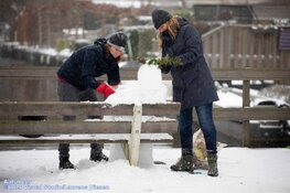 Winterse zondag in beeld