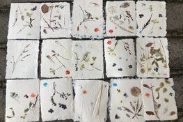 Workshops papier maken in Zee- en Havenmuseum