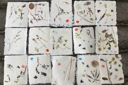 Workshops ‘Mooi Papier Maken’ zaterdag 9 en zondag 10 oktober in Zee- en Havenmuseum