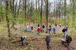 Met de boswachter aan de slag op Buitenplaats Beeckestijn