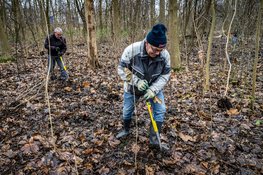 Vrijwilligers oogsten zo&#39;n 2.000 jonge boompjes in  Wijkeroogpark voor tweede leven op nieuwe plek