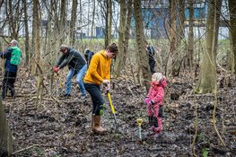 Vrijwilligers oogsten zo&#39;n 2.000 jonge boompjes in  Wijkeroogpark voor tweede leven op nieuwe plek