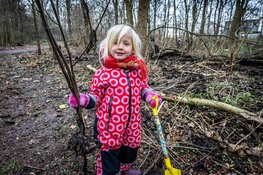 Vrijwilligers oogsten zo&#39;n 2.000 jonge boompjes in  Wijkeroogpark voor tweede leven op nieuwe plek