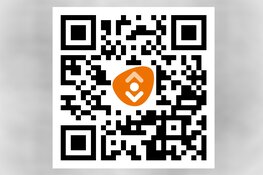 Liefdesfilosoof in de Bibliotheek