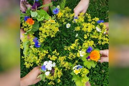 Workshop theekruiden