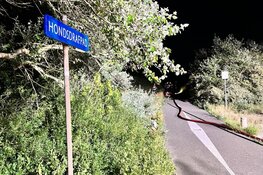 Brand in duingebied IJmuiden snel onder controle