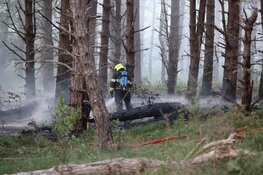 Grote duinbrand in Santpoort-Noord