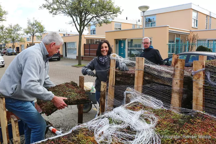 10 buurten in Velsen aan de slag met groene daken