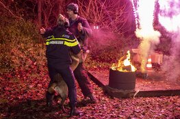 Grote oefening om politiehonden aan vuurwerk te laten wennen ivm Oud en Nieuw
