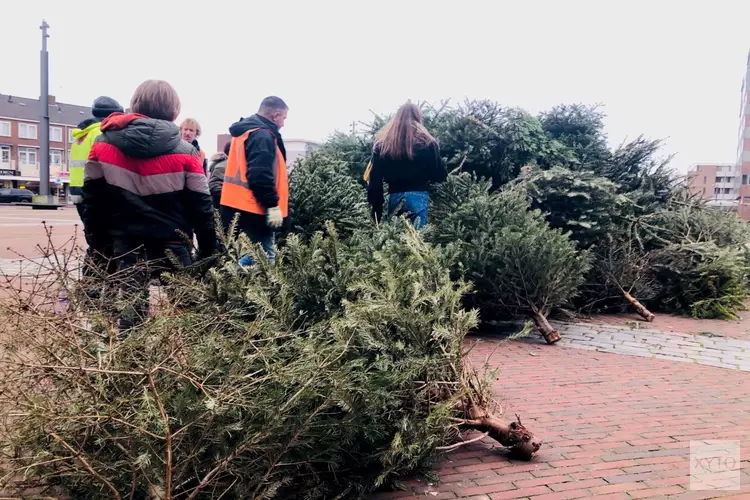 Winactie bij inzamelen kerstbomen