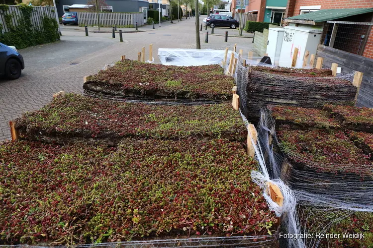 Bomen- en Vogelbuurt aan de slag met groene daken