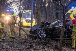 Taxichauffeur ernstig gewond na botsing tegen boom in IJmuiden