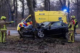 Taxichauffeur ernstig gewond na botsing tegen boom in IJmuiden