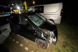 Vrouw en hond doodgereden door vluchtende automobilist