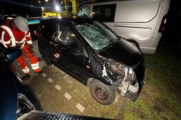 Vrouw en hond doodgereden door vluchtende automobilist