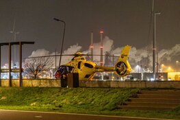 Vrouw en hond doodgereden door vluchtende automobilist