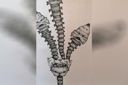 Tot eind mei twee exposities in de Bibliotheek, de foto’s van Edyta Kroger en de werken van Nadine van Oostende