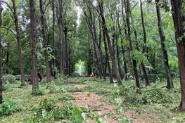 Buitenplaats Beeckestijn zwaar getroffen door storm Poly