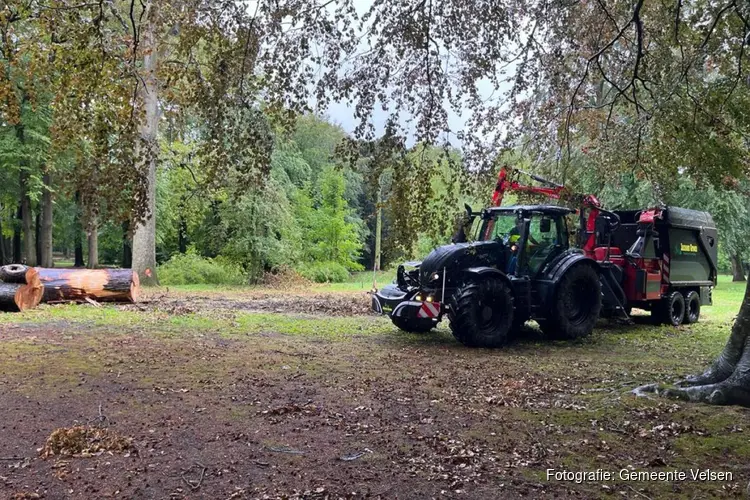 Bomenkap achter sporthal IJmuiden-Oost en in Burgemeester Rijkenspark