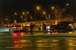 Paarden op de vlucht door Santpoort-Noord