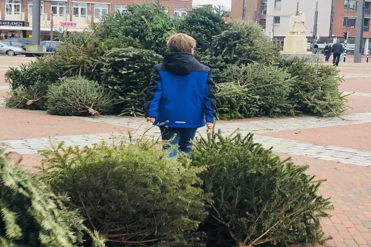 Winactie bij inzamelen kerstbomen