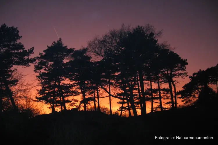 Donker in de duinen