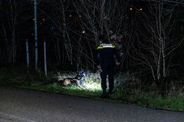 Getuigen gezocht van bedreiging in Velsen-Noord
